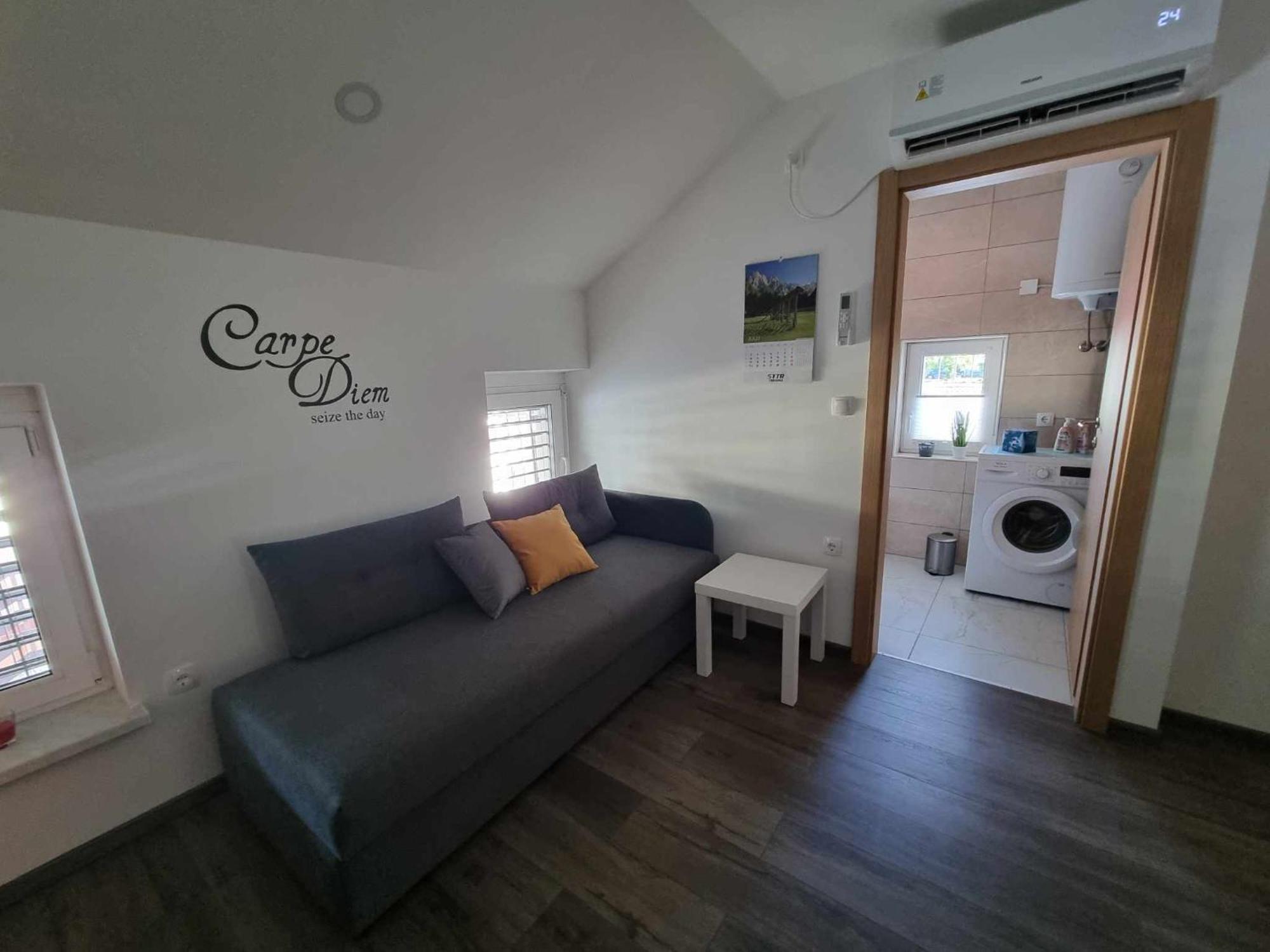Apartmaji Ribic Ljubno Exterior photo